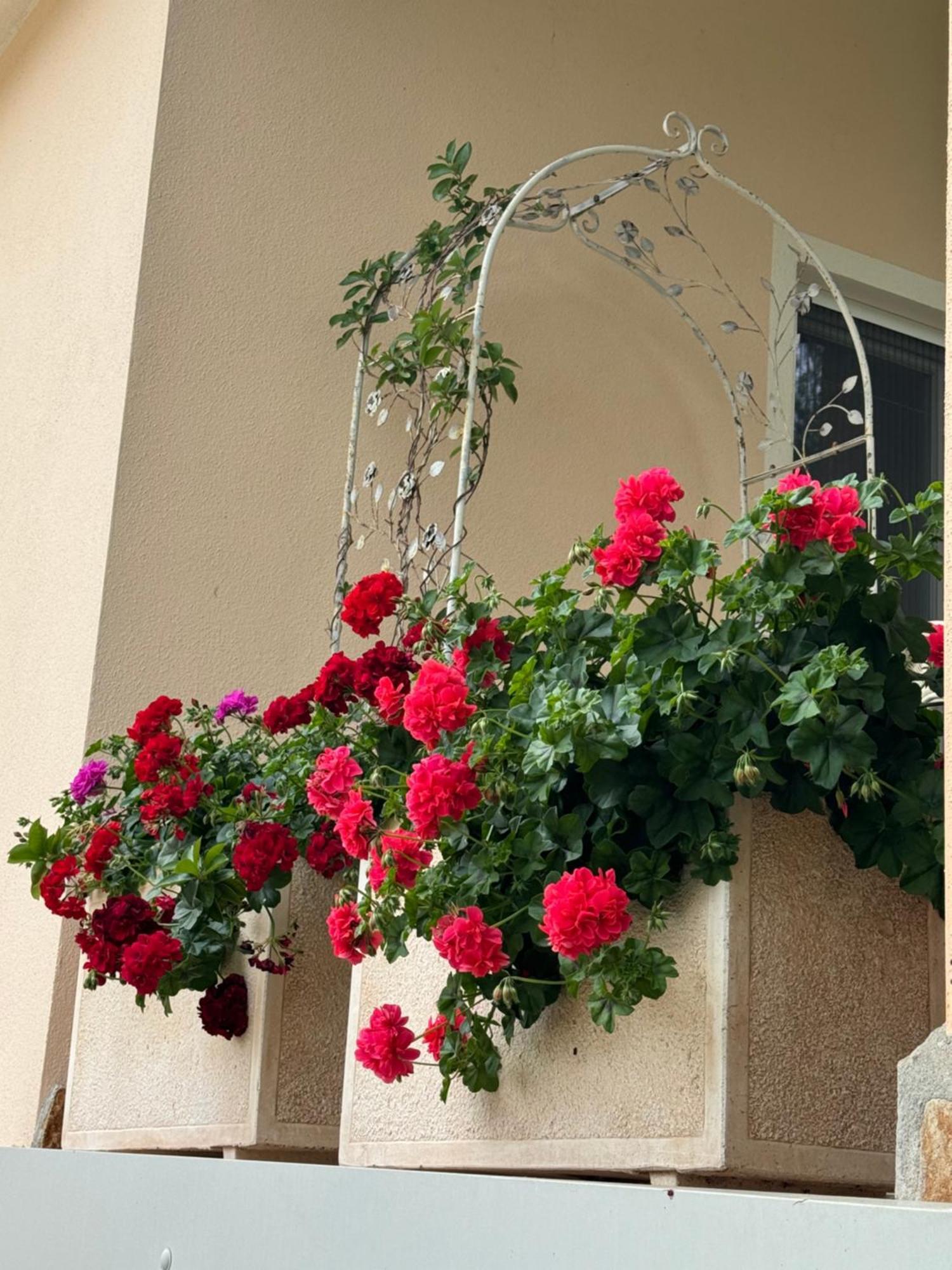 Villa Dei Fiori - Casa Vacanza Capoterra Kültér fotó