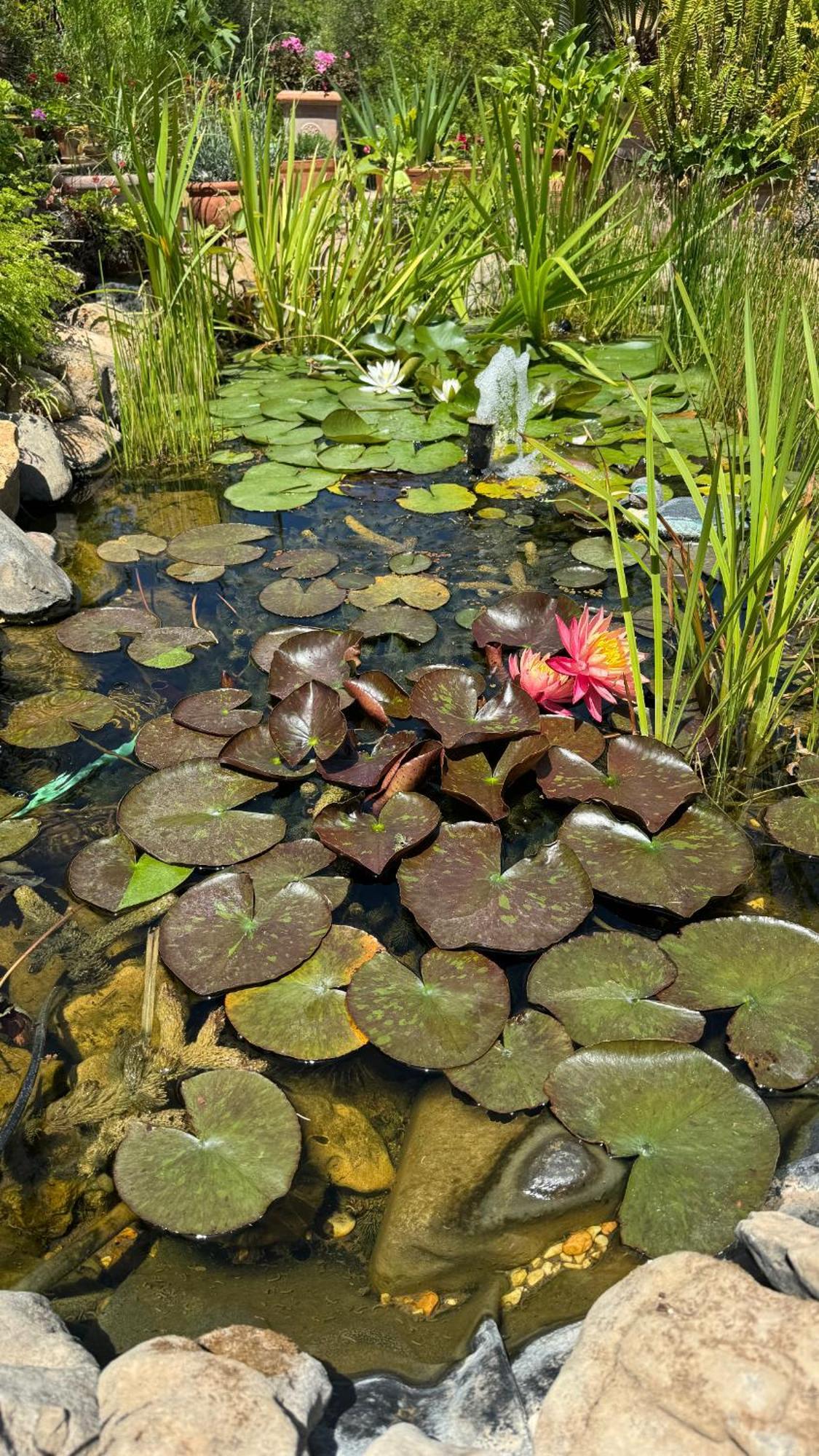 Villa Dei Fiori - Casa Vacanza Capoterra Kültér fotó