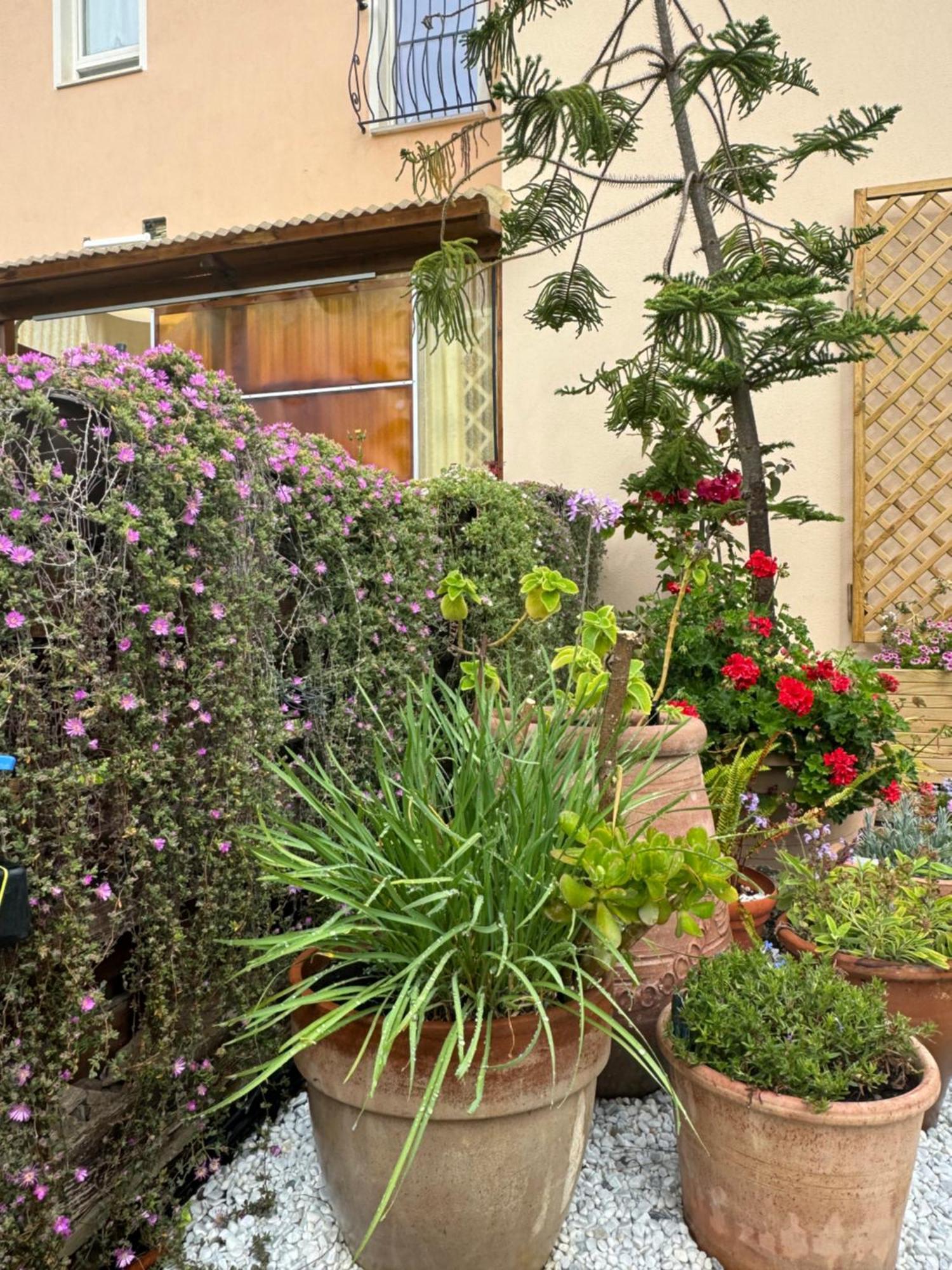 Villa Dei Fiori - Casa Vacanza Capoterra Kültér fotó