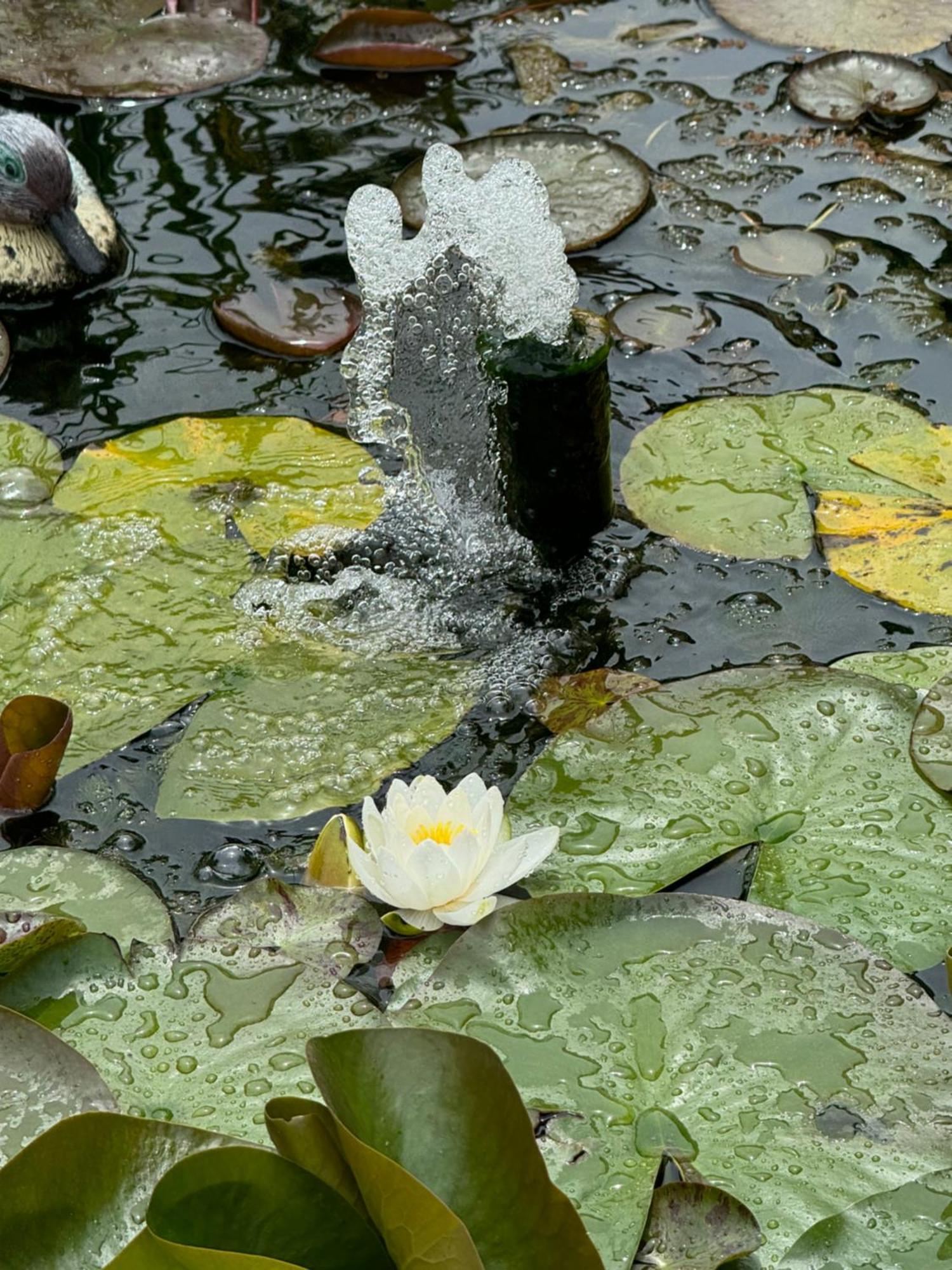 Villa Dei Fiori - Casa Vacanza Capoterra Kültér fotó